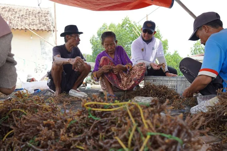 Support Indonesian Seaweed Farmers through Capital and Assistance